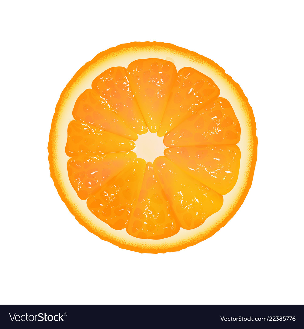 Orange Slice With White Background Royalty Free Vector Image