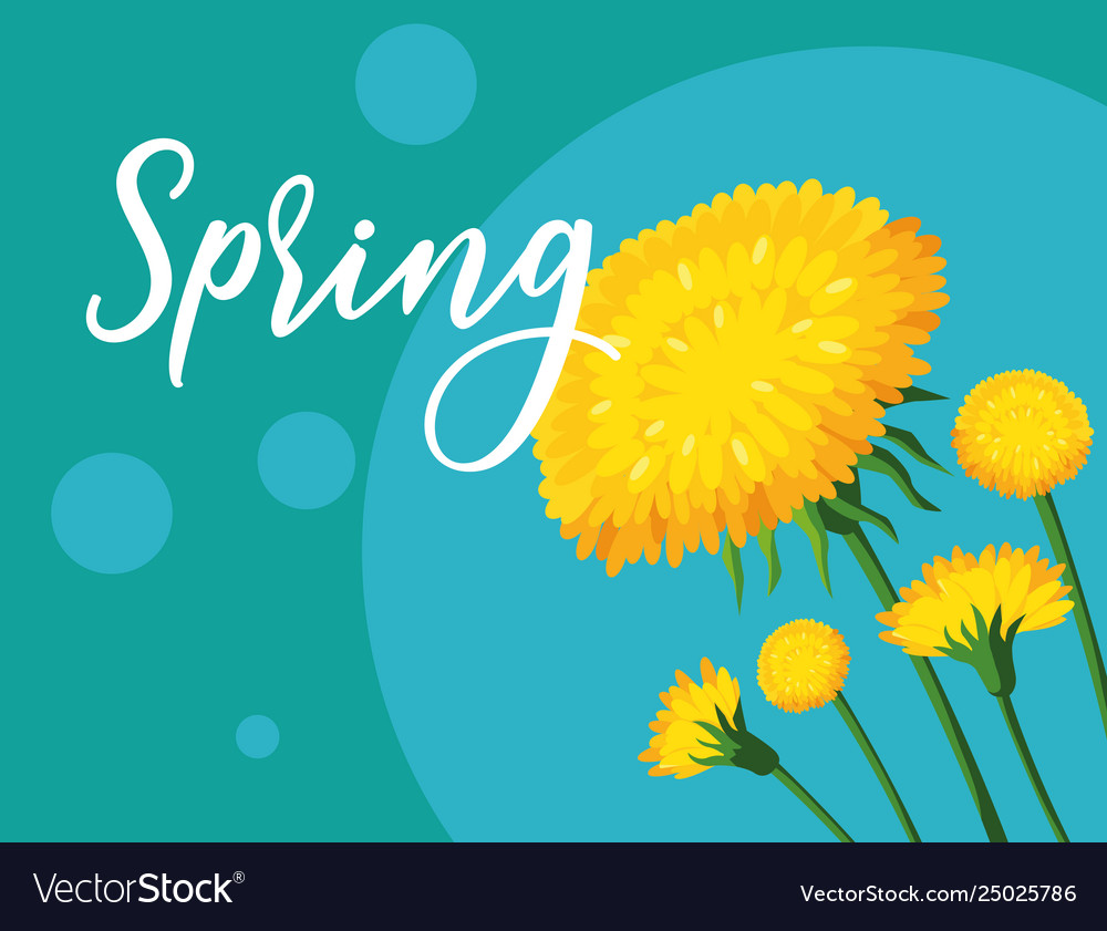 Schöne Frühling Blumenkarte vector image Schöne Frühling Blumenkarte