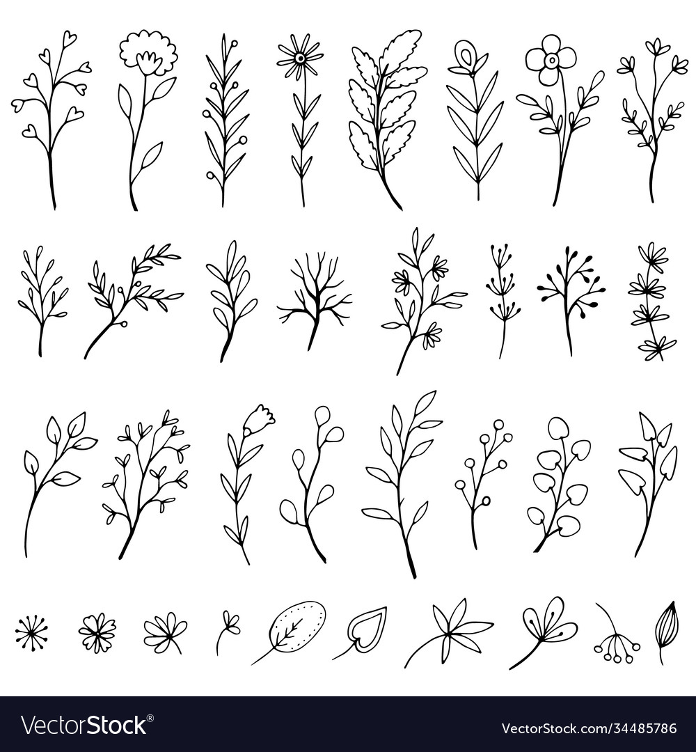 Hand gezeichnete botanische Elemente in Blumen gesetzt vector image Hand gezeichnete botanische Elemente in Blumen gesetzt