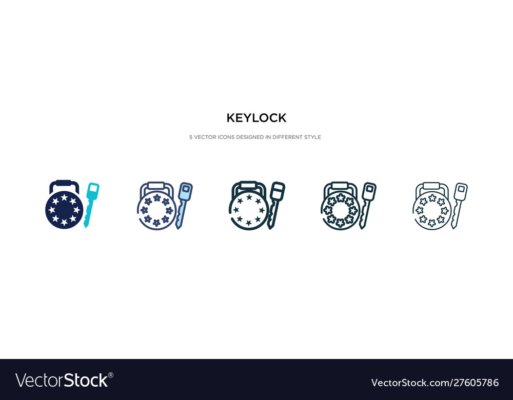 Keylock icon in different style two colored