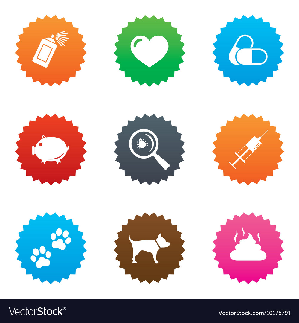 Veterinary pets icons dog paws syringe signs