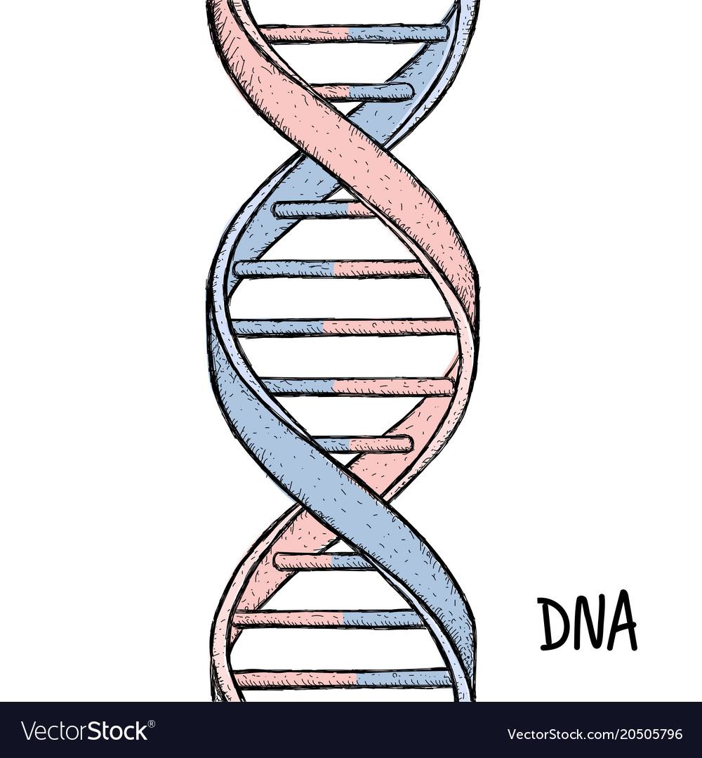 Gold dna symbol helix gene icon