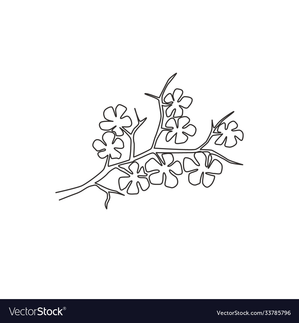 Single Continuous Line Drawing Beauty Fresh Vector Image