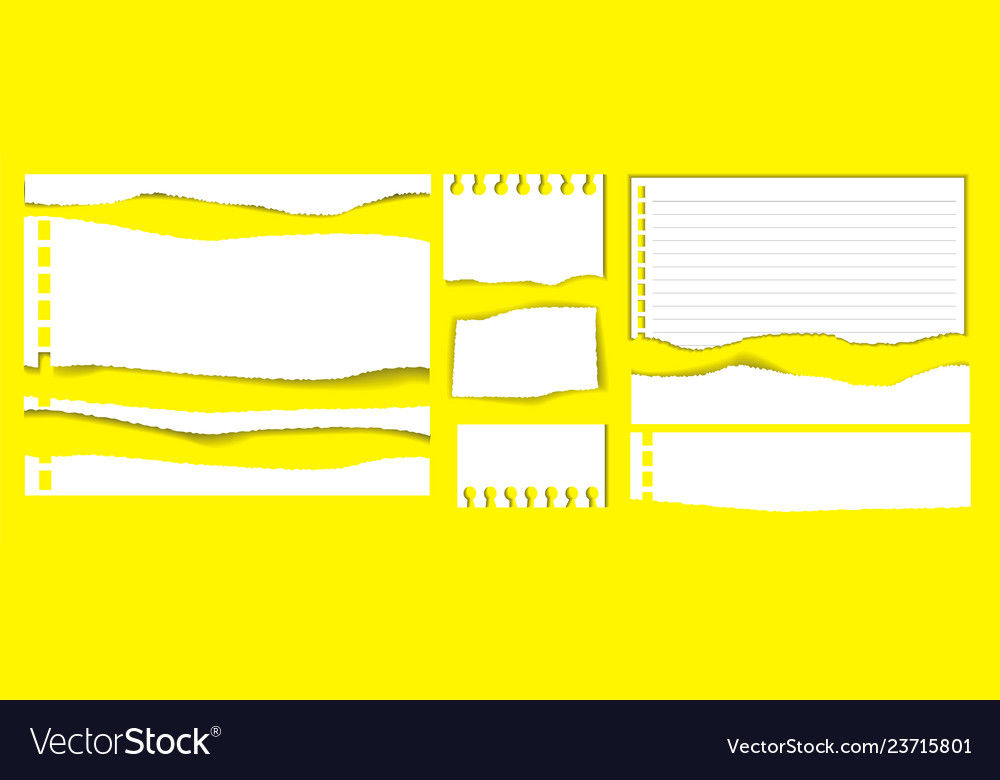 Ripped Paper Set