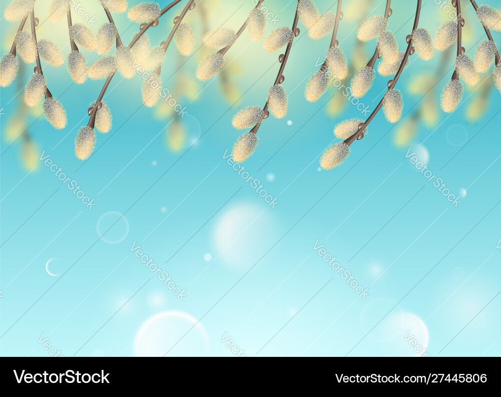 Spring natural background Royalty Free Vector Image