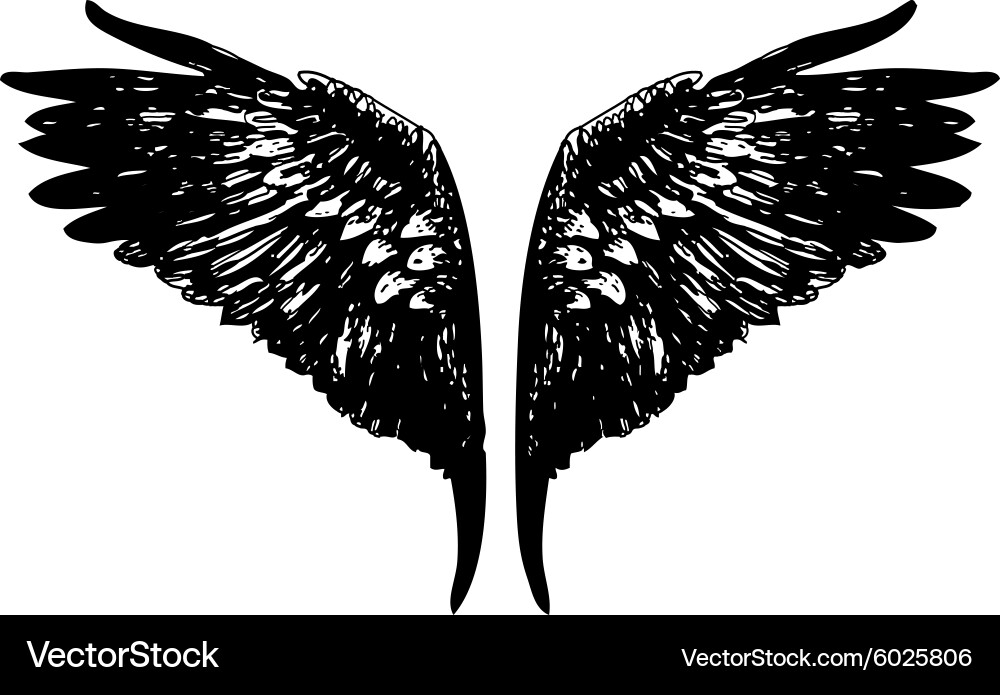 Wing 3 Royalty Free Vector Image - VectorStock