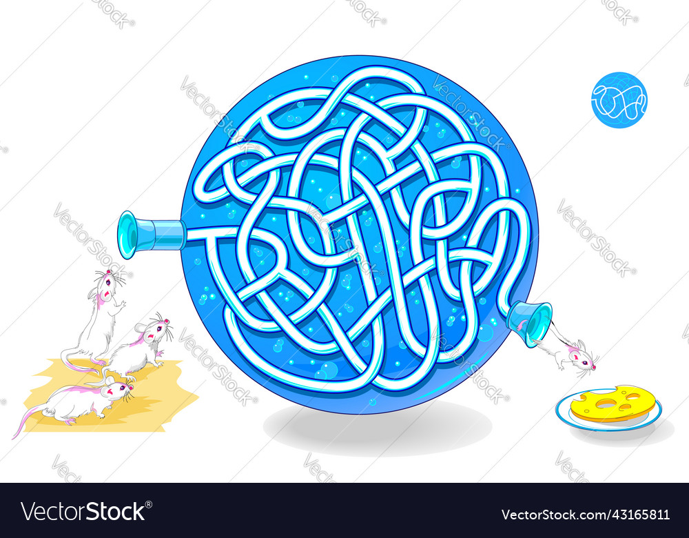 Best labyrinths help the lab mouse find way vector image Best labyrinths help the lab mouse find way
