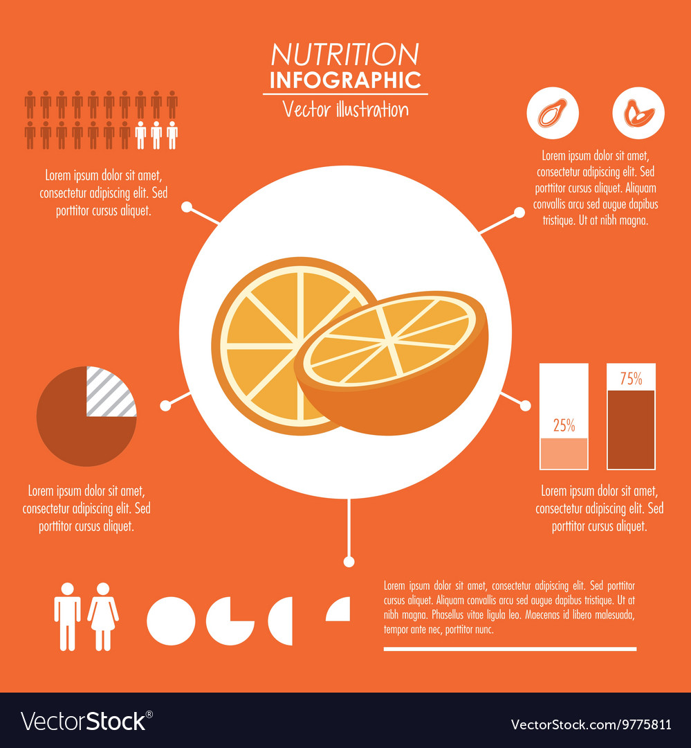 infographic icon nutrition design graphic nutrition by design