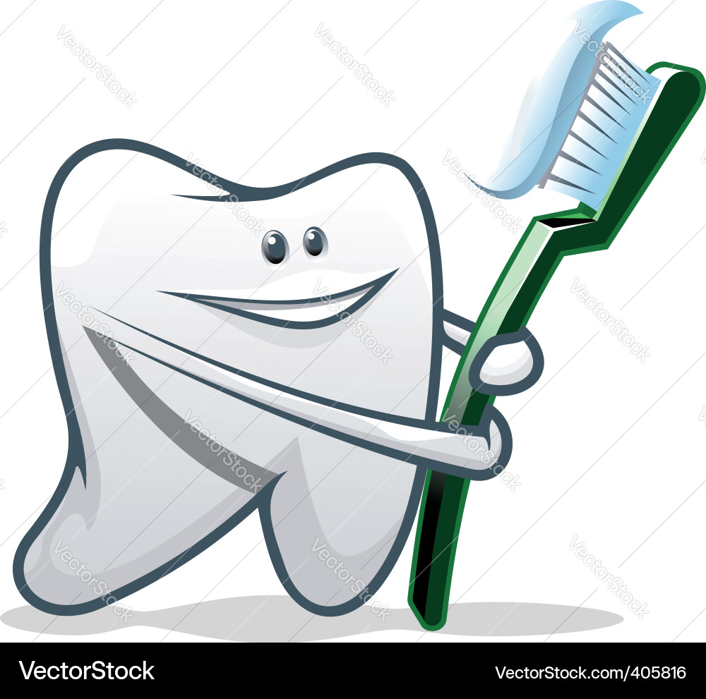 Clean teeth Royalty Free Vector Image - VectorStock