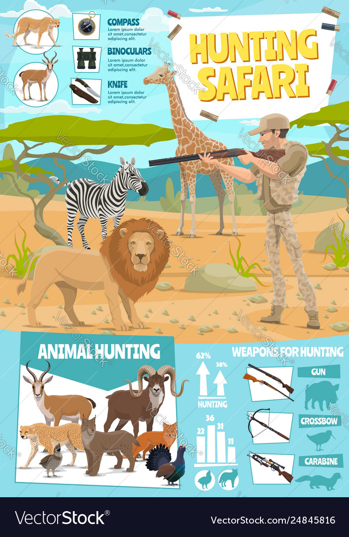Hunting safari hunter equipment infographic Vector Image Hunting safari hunter equipment infographic Vector Image