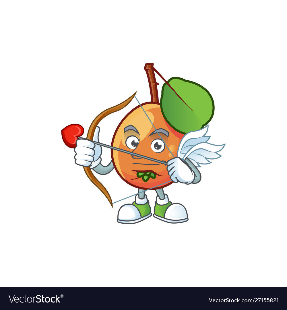 Cupid shipova fruit cartoon character for logo