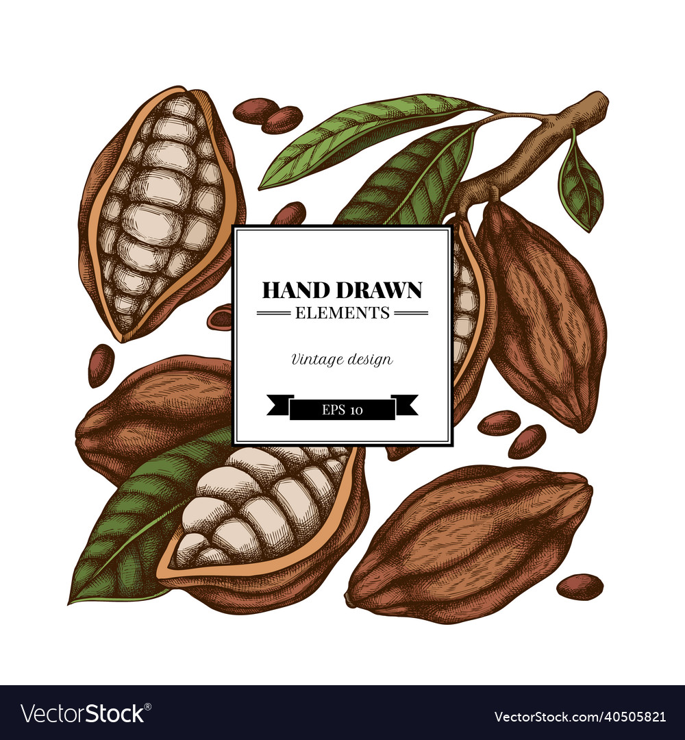 Square design with colored cocoa beans vector image Square design with colored cocoa beans