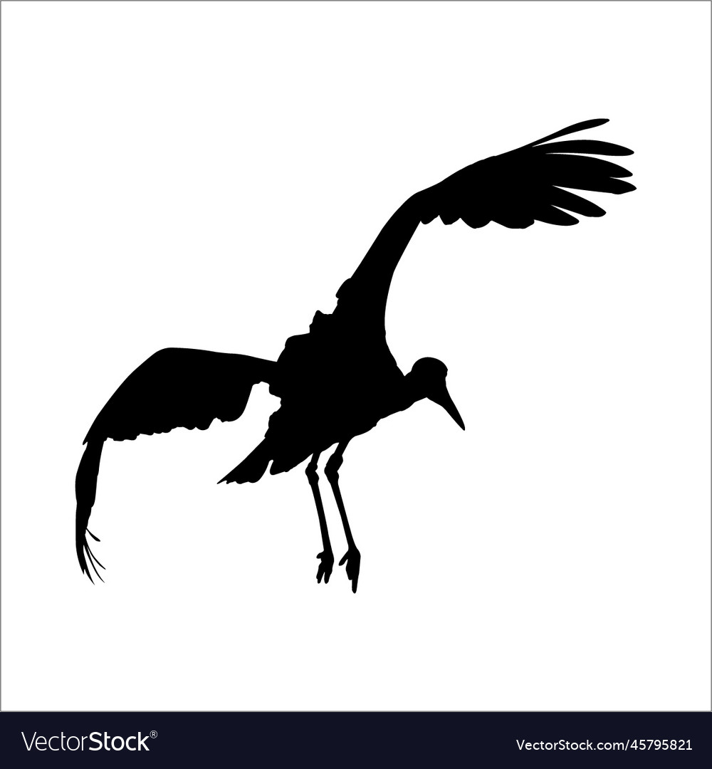 Stork silhouettes Royalty Free Vector Image - VectorStock