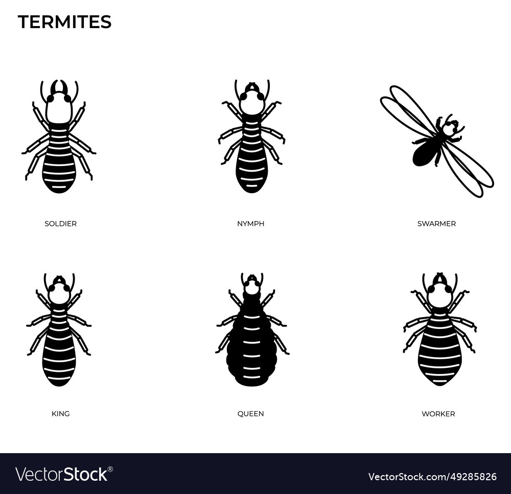 Termite Icon Royalty Free Vector Image - VectorStock