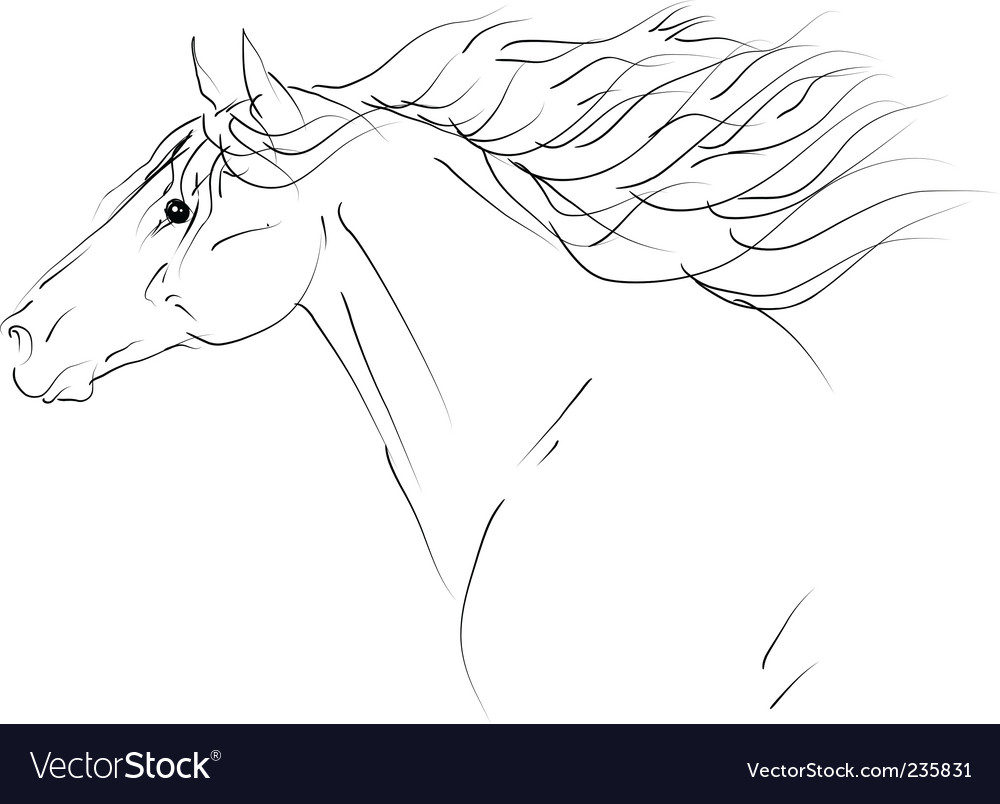 Powerful Black Stallion Silhouette