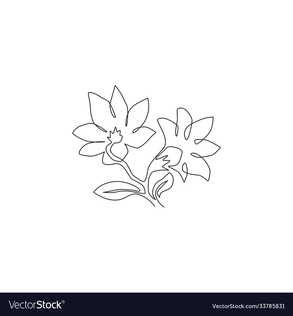 Single One Line Drawing Beauty Fresh Royalty Free Vector