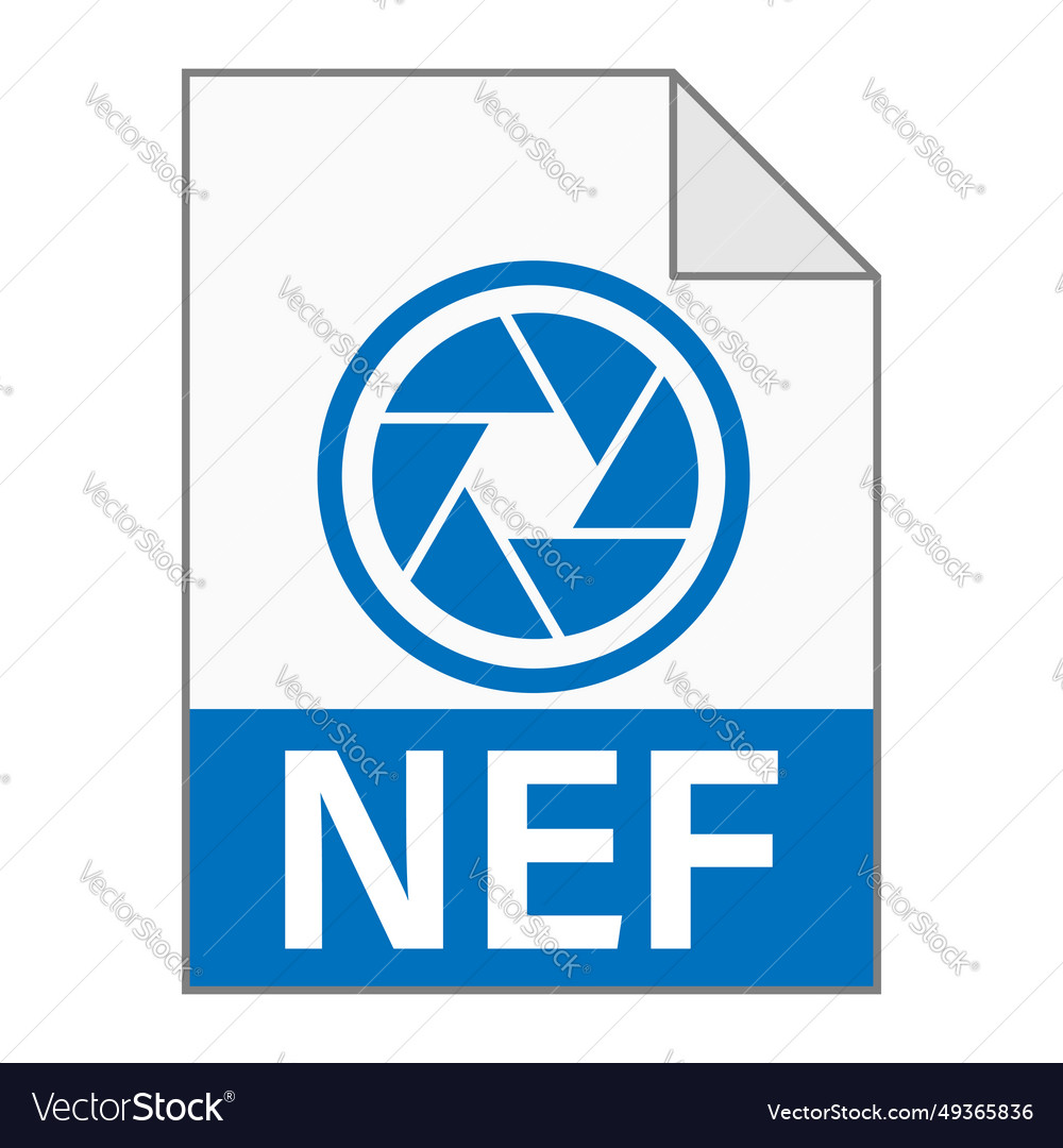 Modern flat design of nef file icon for web vector image Modern flat design of nef file icon for web