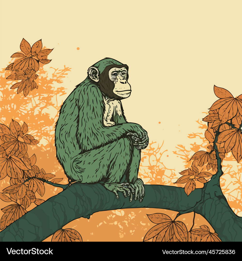 Primate monkey wild animal Royalty Free Vector Image