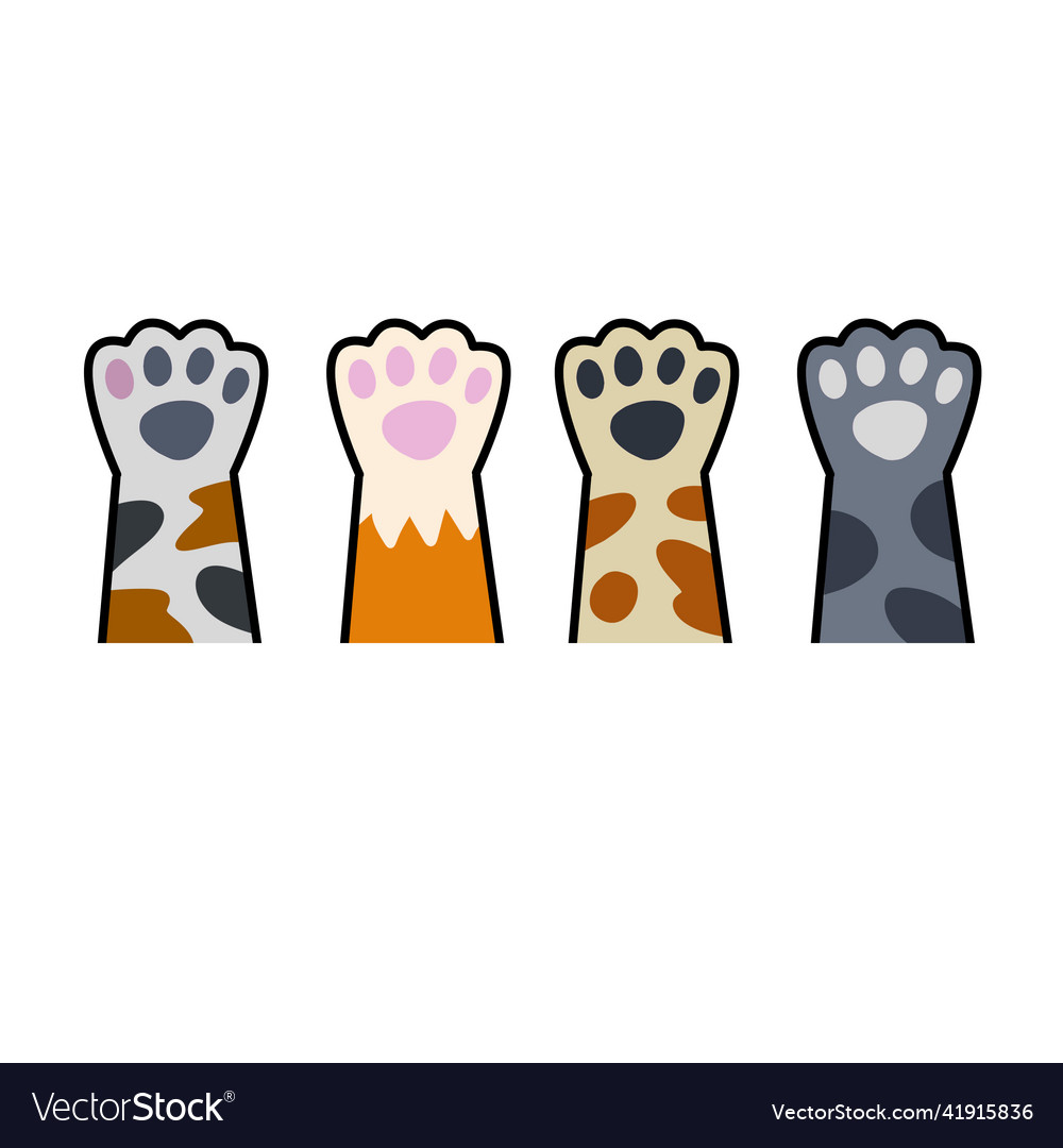 Set of different paw cat hands Royalty Free Vector Image