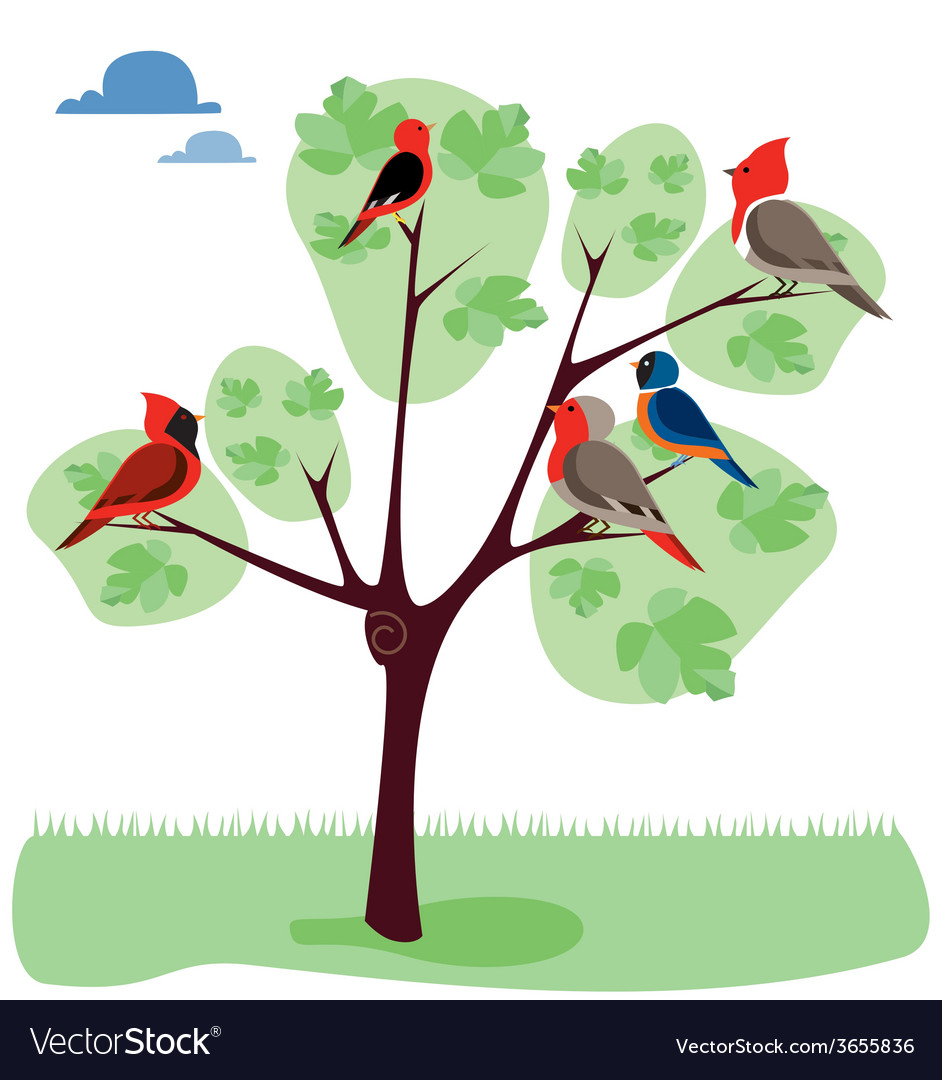 Tree-with-diferents-birds