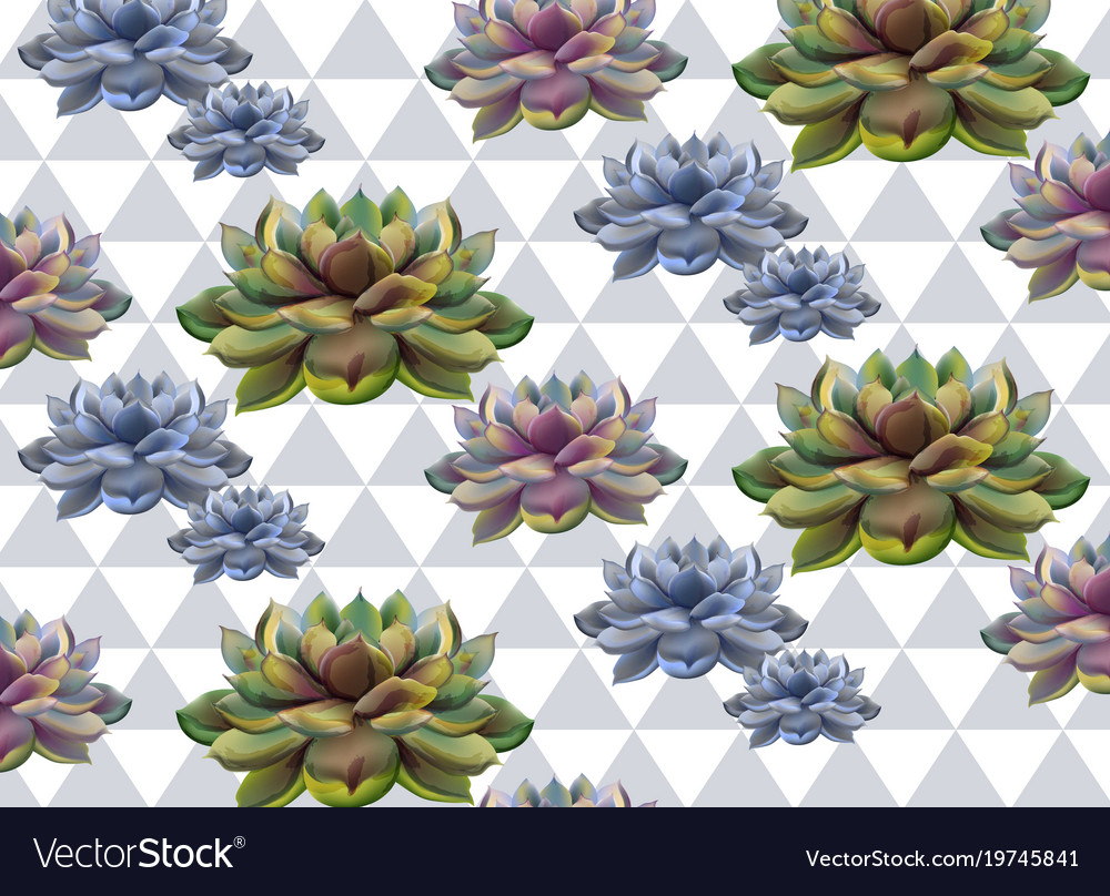 Cactus abstract pattern texture modern