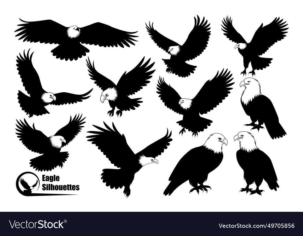 American eagle bird silhouettes art