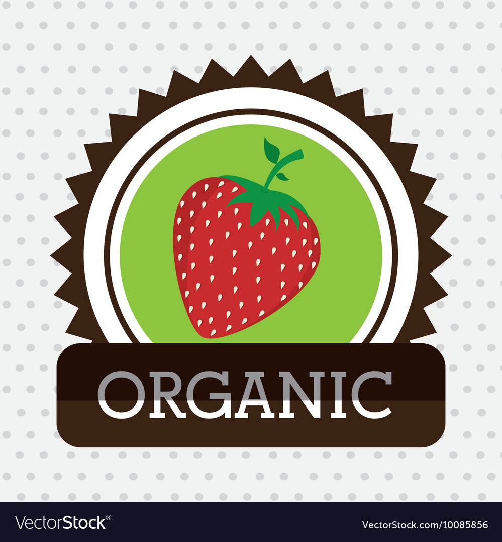 Organic food fruit icon