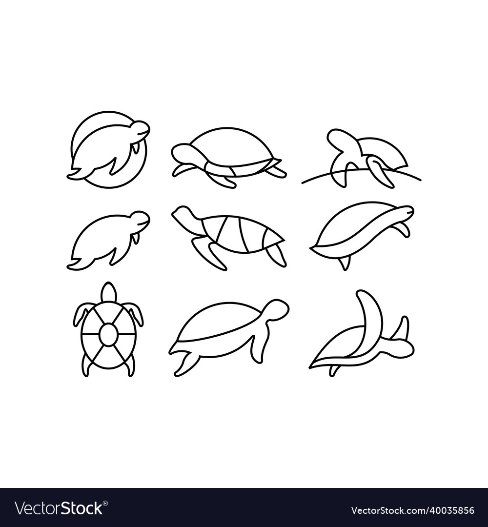 Turtle icons set designed