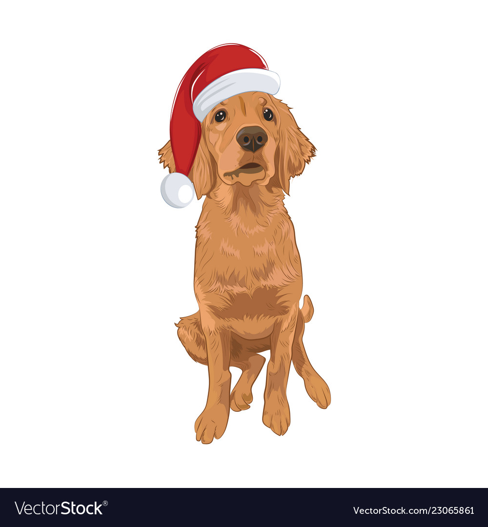 Golden retriever cute puppy wearing santa hat Vector Image