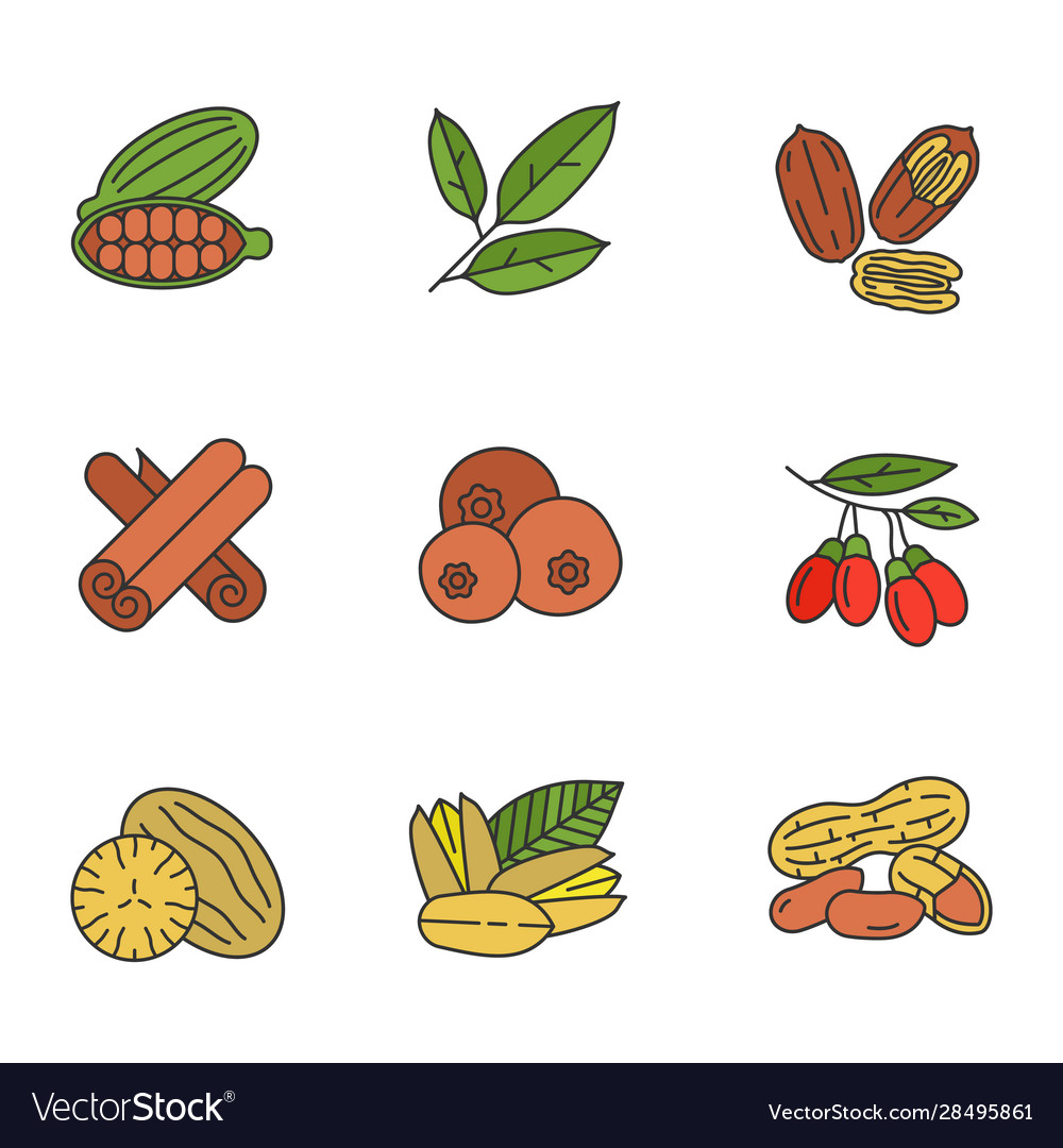 Spices color icons set