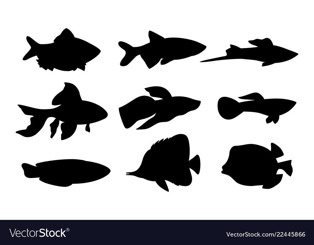 Download Aquarium set fish silhouette Royalty Free Vector Image