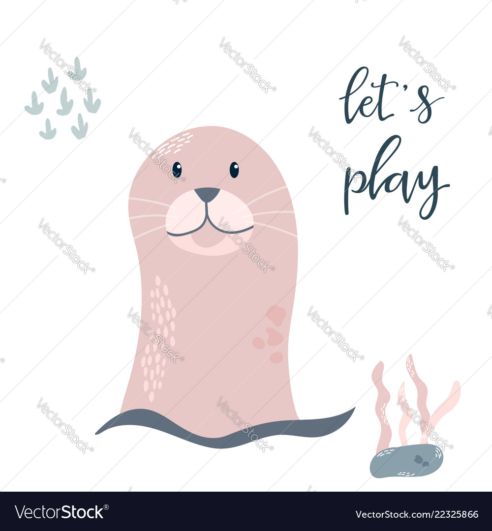 Baby print with cute seal hand drawn graphic