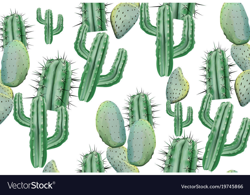 Cactus Pattern Texture On White Modern Royalty Free Vector