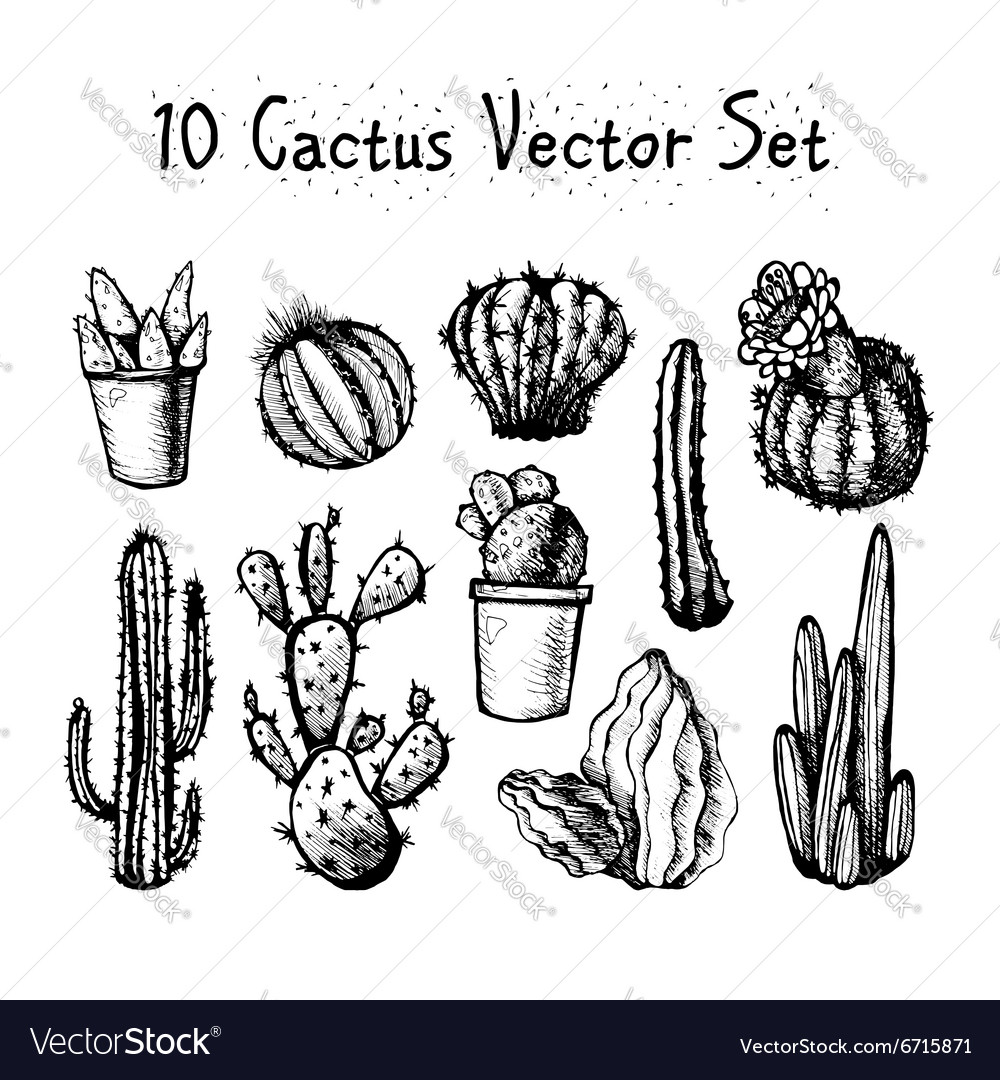 Handgezeichnete isolierte Actuses Set