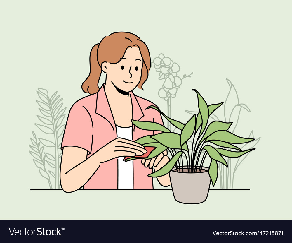 Happy woman clean leaves of houseplant Royalty Free Vector