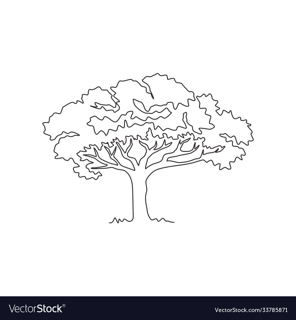 Single one line drawing exotic and beauty vector image Single one line drawing exotic and beauty