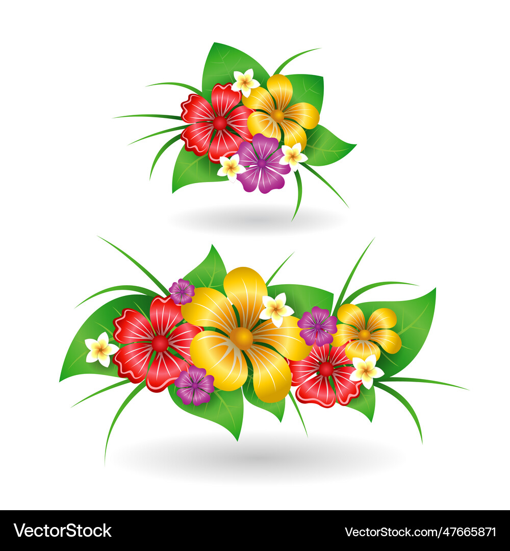 Tropical flowers decor elements Royalty Free Vector Image