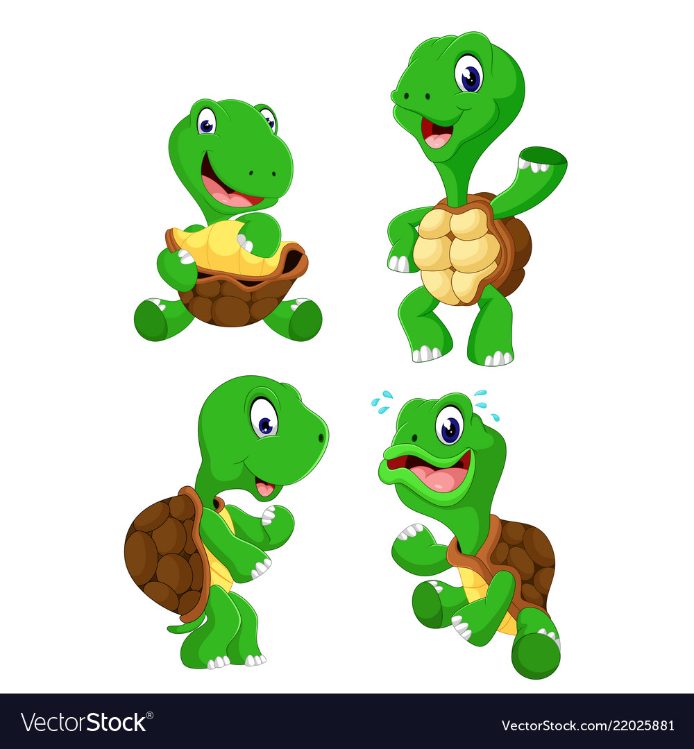 Collection green tortoise Royalty Free Vector Image