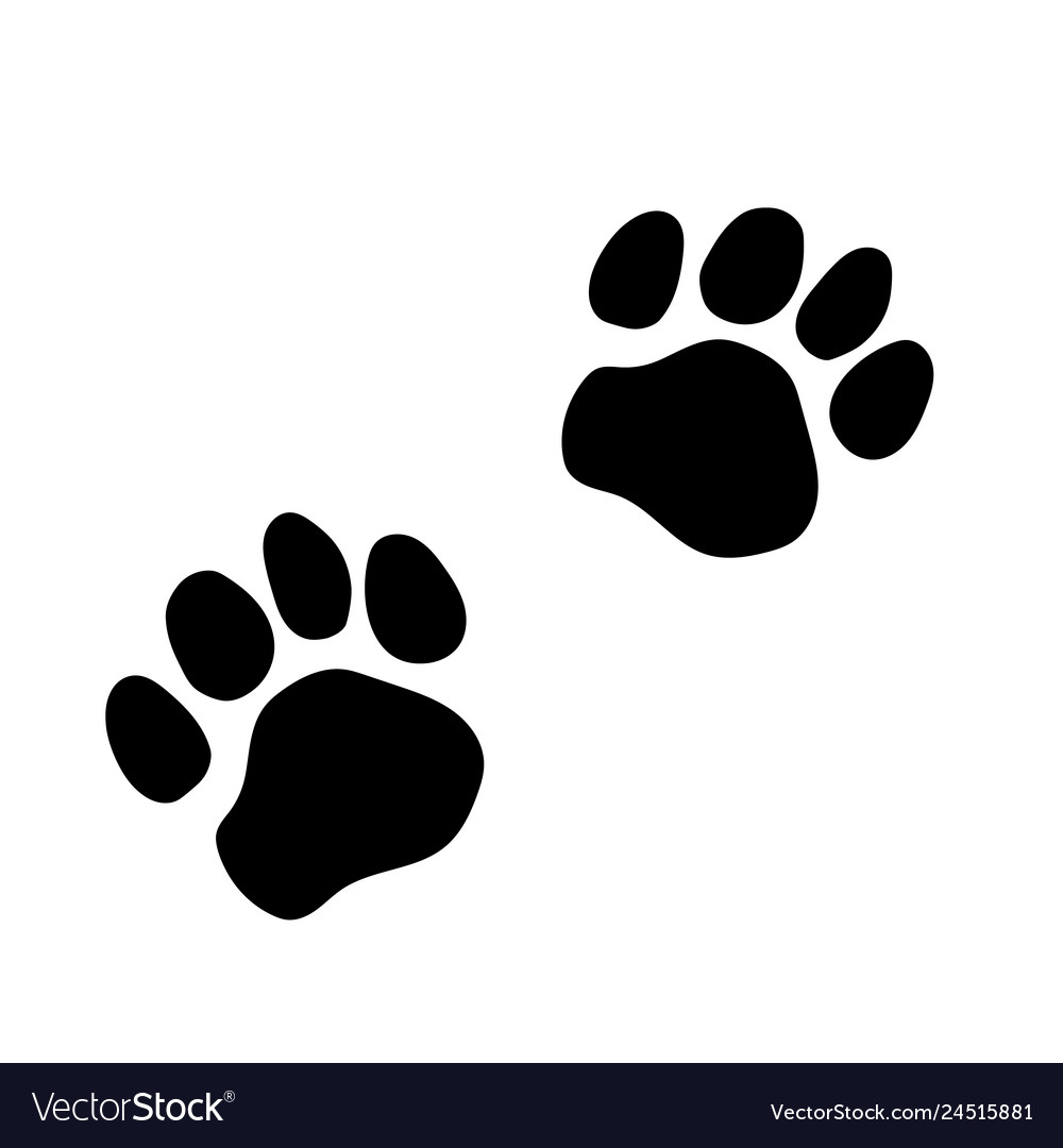 Cute Paw Prints Logo