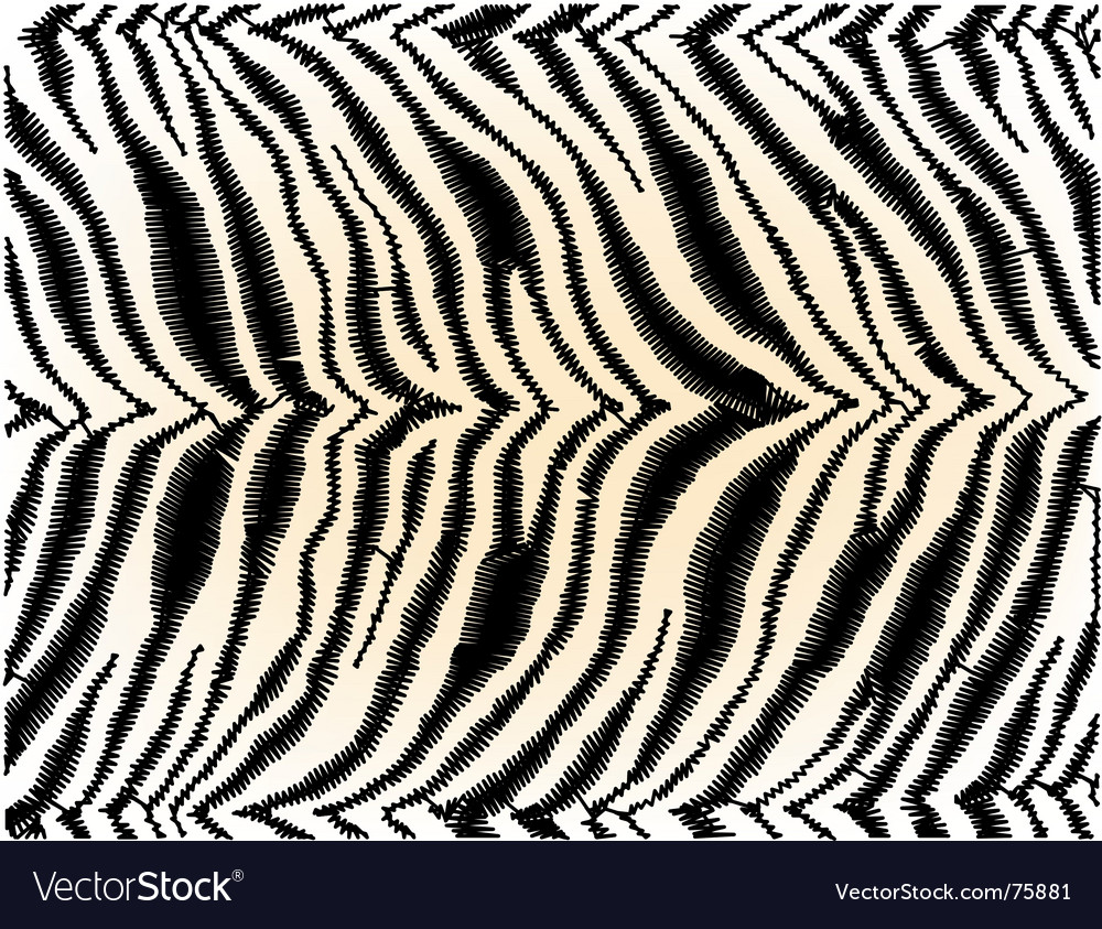 Zebra Pattern Texture