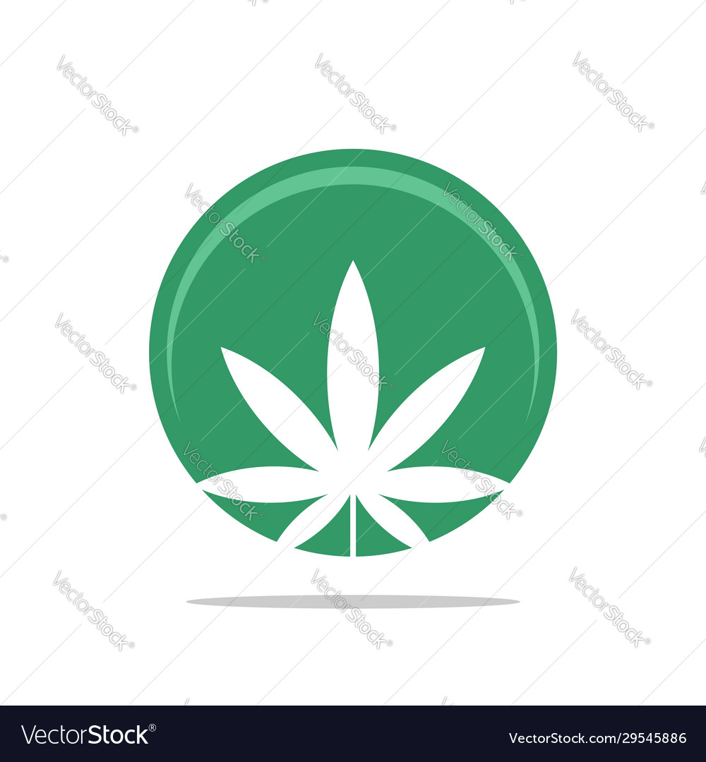 Marijuana leaf health care logo template design