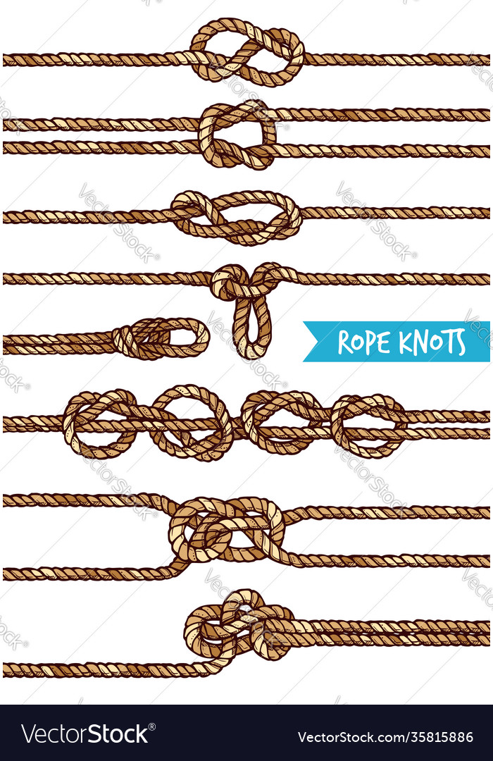 Rope knots set Royalty Free Vector Image - VectorStock