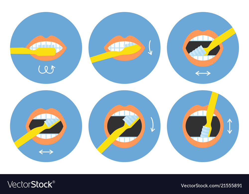 Kindergarten Steps To Brush Your Teeth Teeth Poster   How To Brush Your Teeth Instructions 6 Steps Vector 21555891 