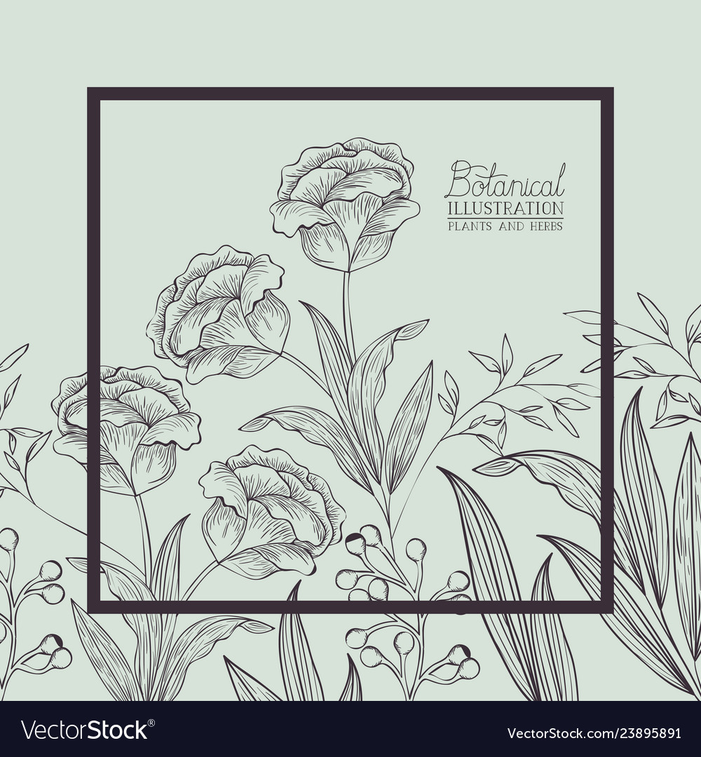Roses flowers decorative square frame