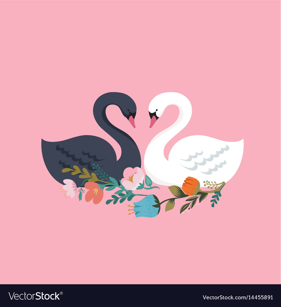 Swan lake greeting card poster and Royalty Free Vector Image