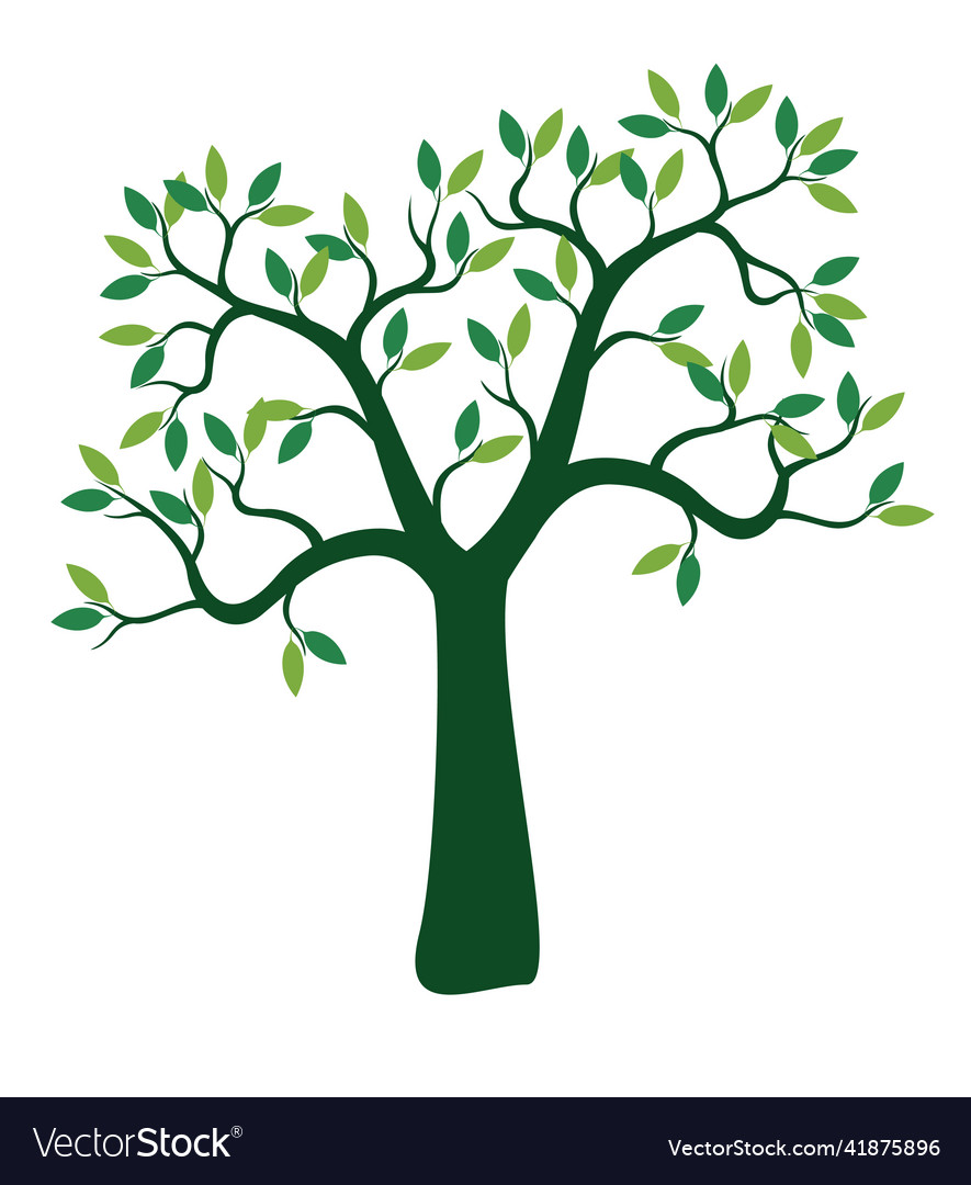 Green tree isolated on white background outline Vector Image