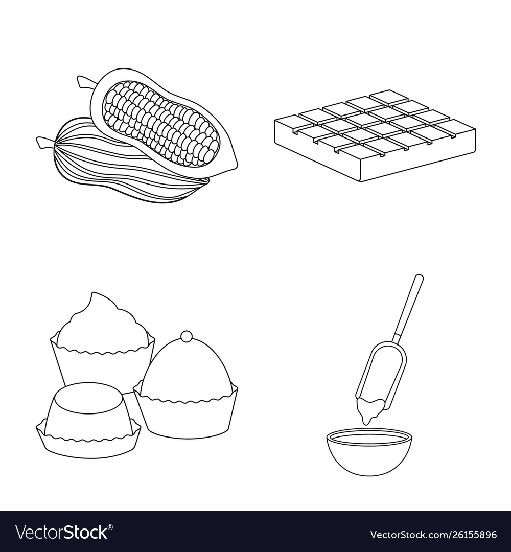 Isolated object cocoa and beans icon