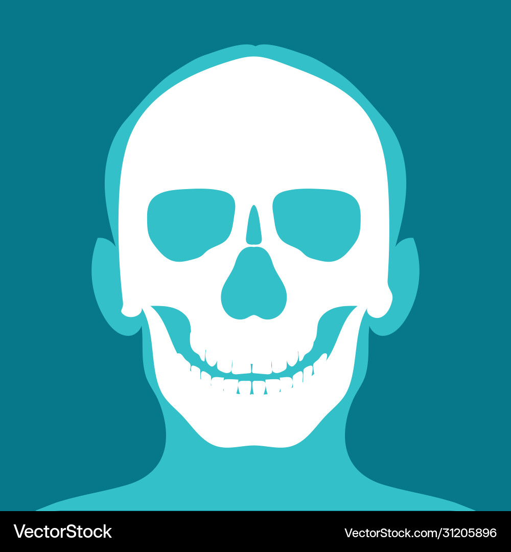 Xray head and neck isolated on blue background Vector Image