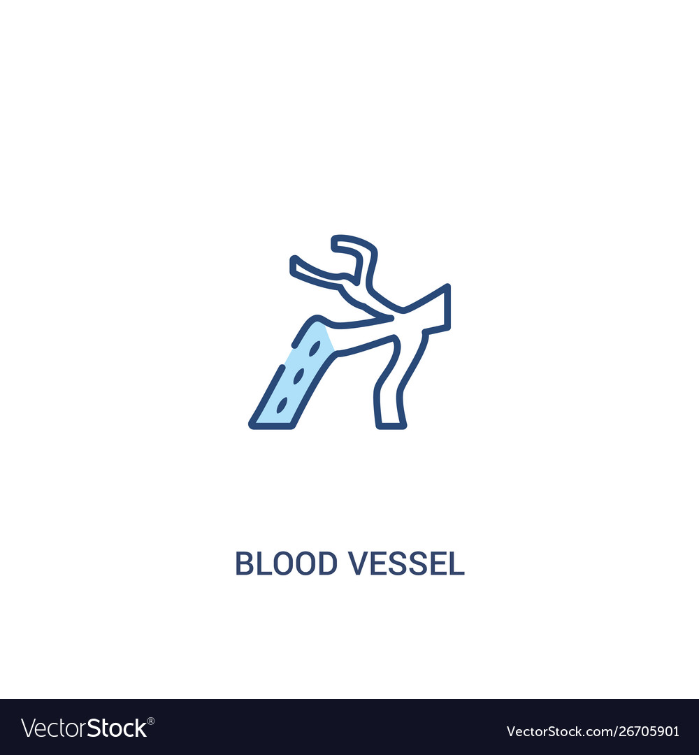 Blood vessel concept 2 colored icon simple line vector image Blood vessel concept 2 colored icon simple line