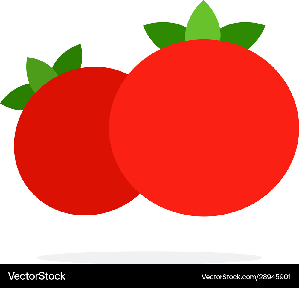 Front view red tomatoes Royalty Free Vector Image